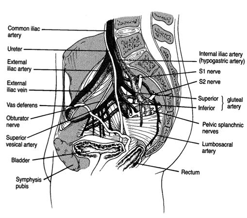 Left Iliac Crest Fracture Icd 10 ovulation symptoms